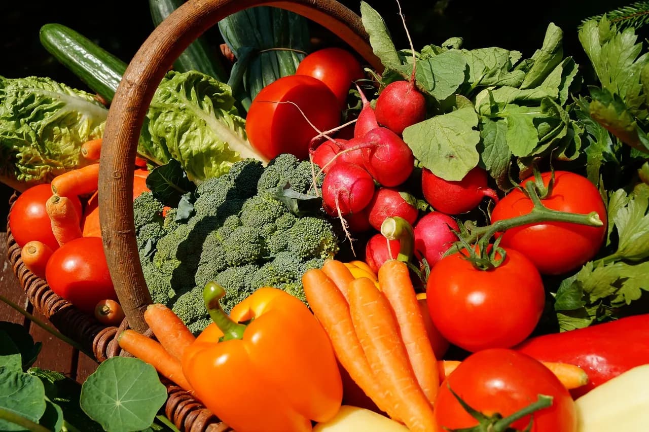Fresh vegetables on display