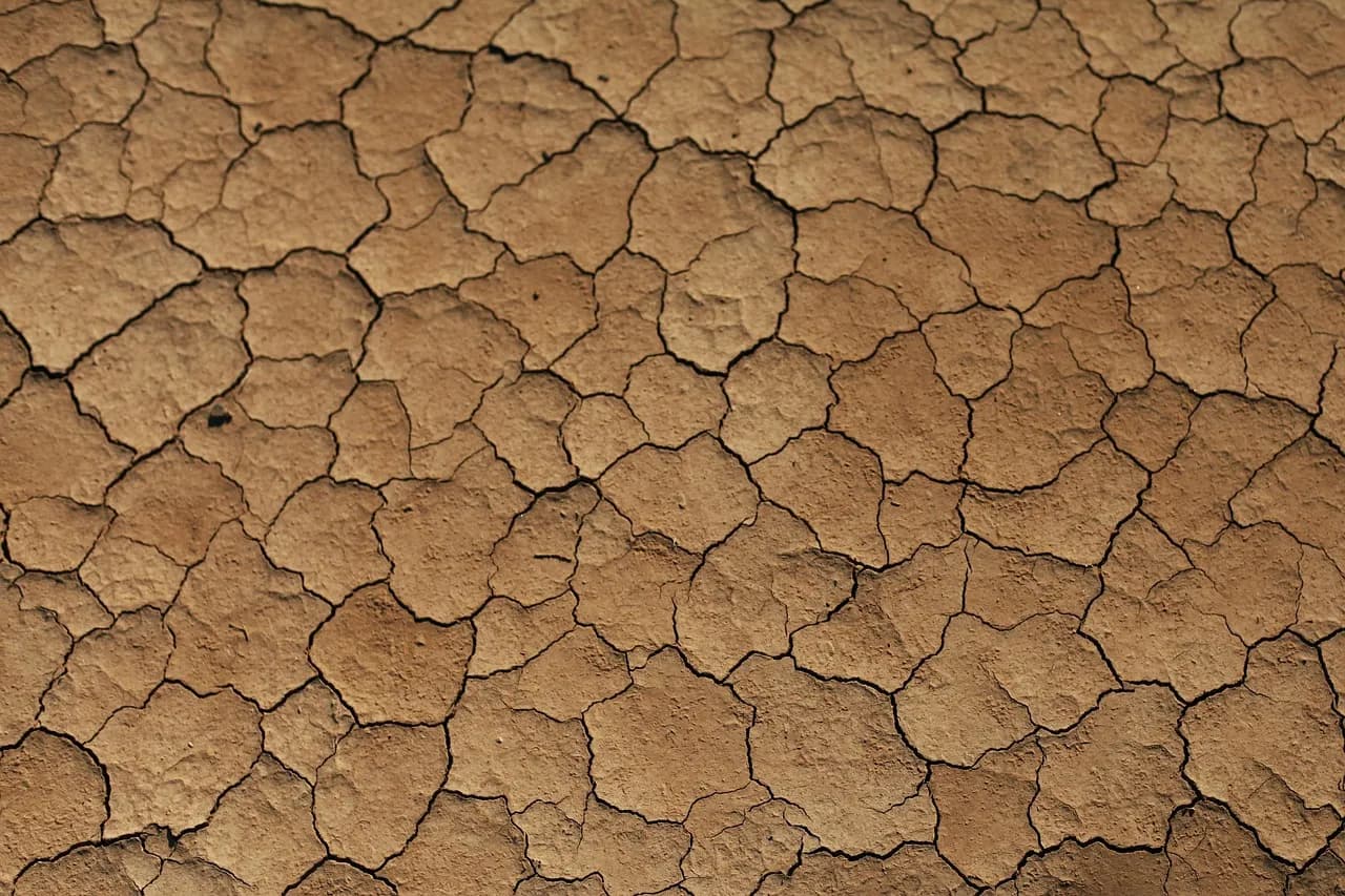 Close-up of dry, cracked soil